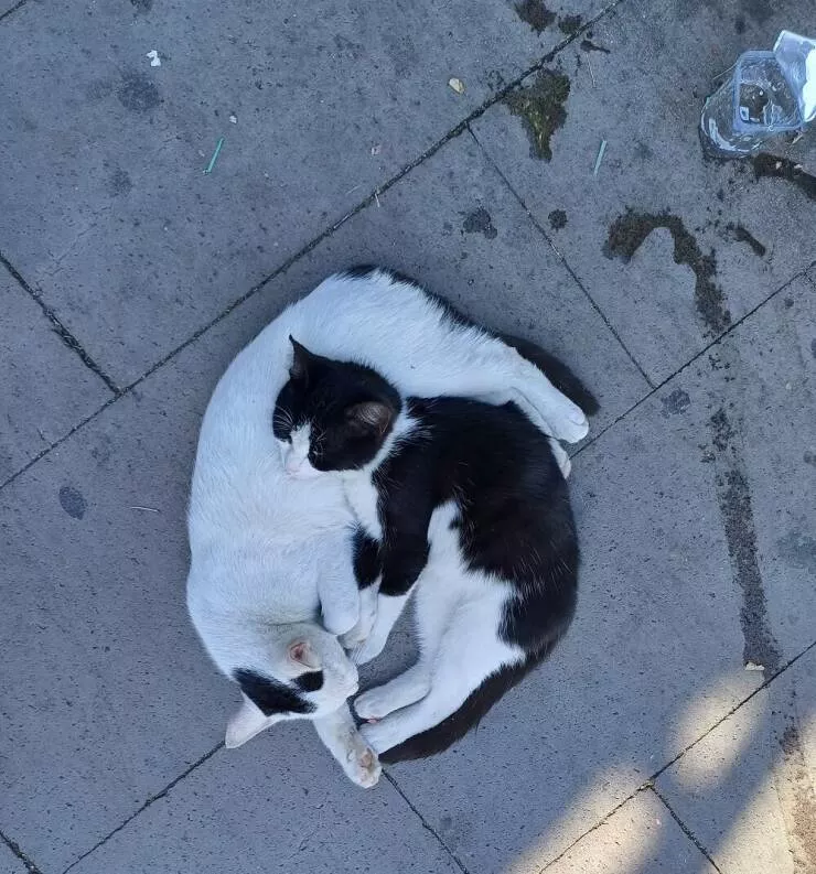 Picdump 783 - #37 