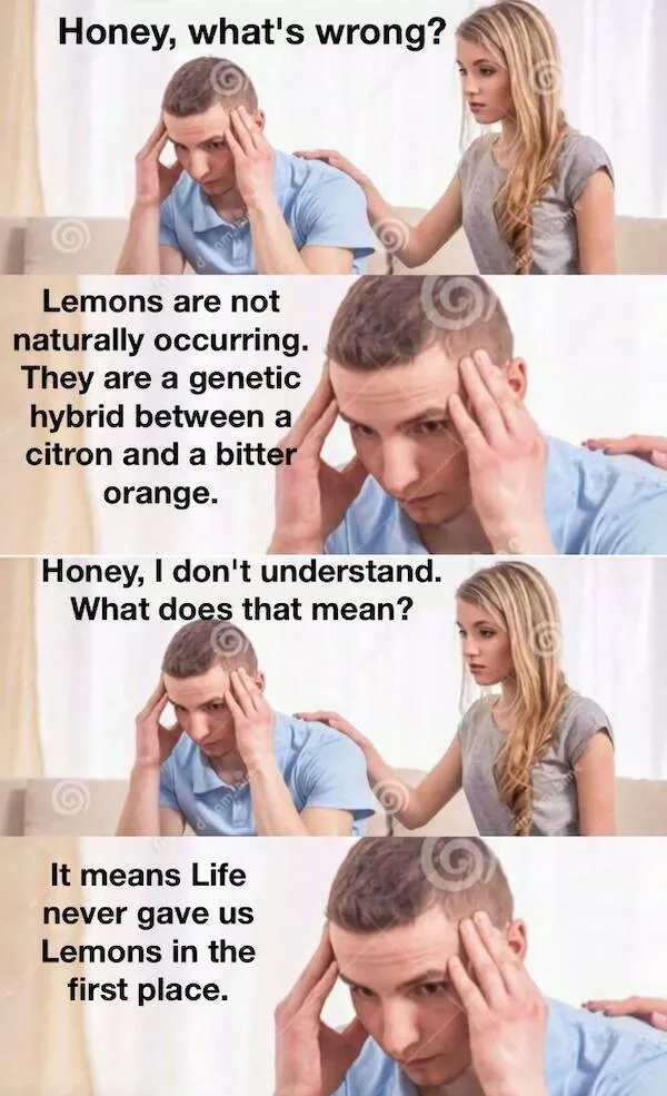 Rires au milieu des larmes images melant habilement chagrin et humour