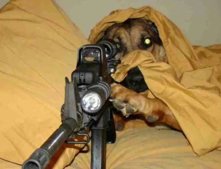 Picdump 784 - #13 