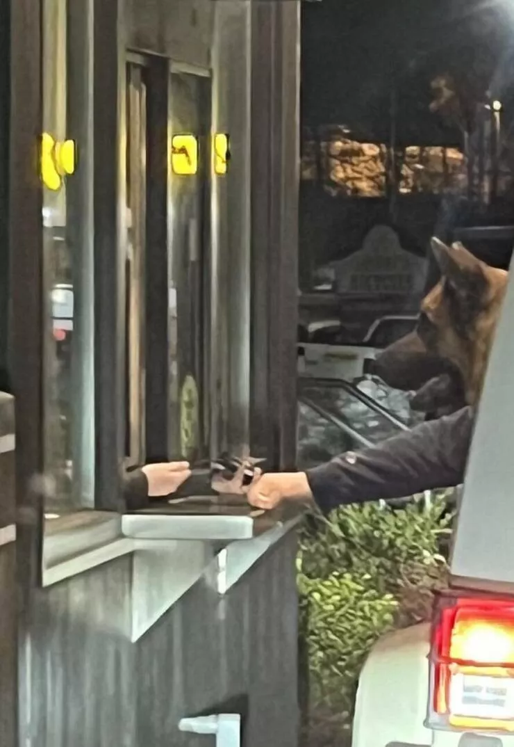 Picdump 784 - #39 