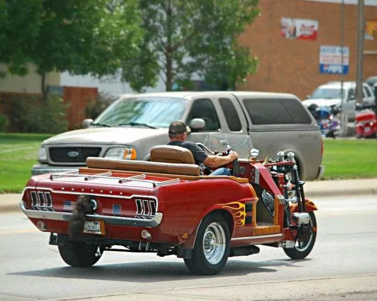 Picdump 784 - #46 