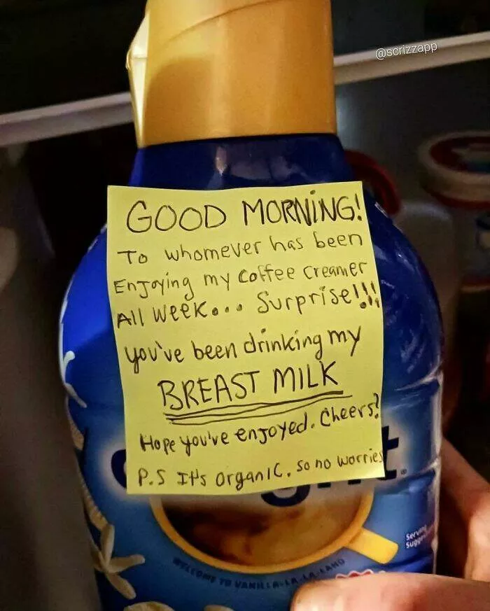 Epic laughter chronicles people unveiling the funniest finds - #12 