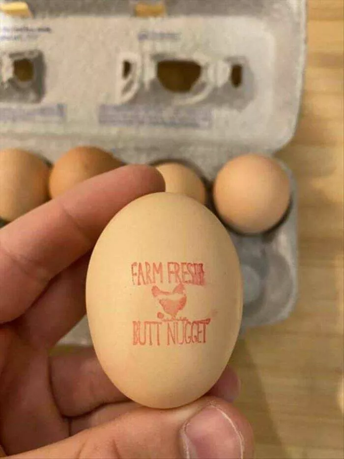 Epic laughter chronicles people unveiling the funniest finds - #15 