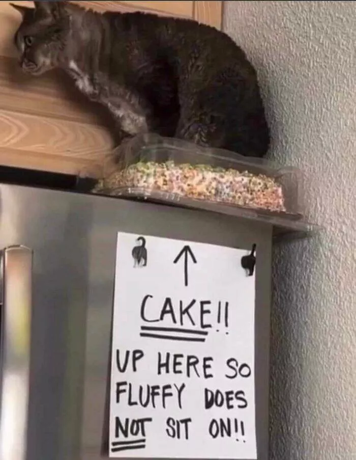 Epic laughter chronicles people unveiling the funniest finds - #23 