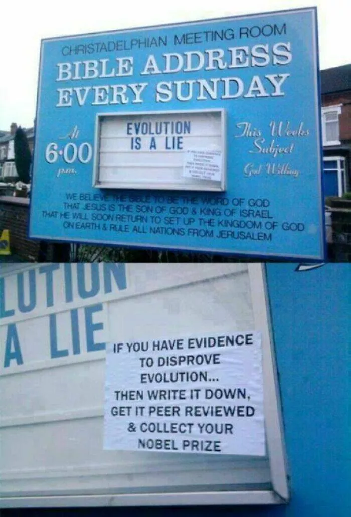 Epic laughter chronicles people unveiling the funniest finds - #37 