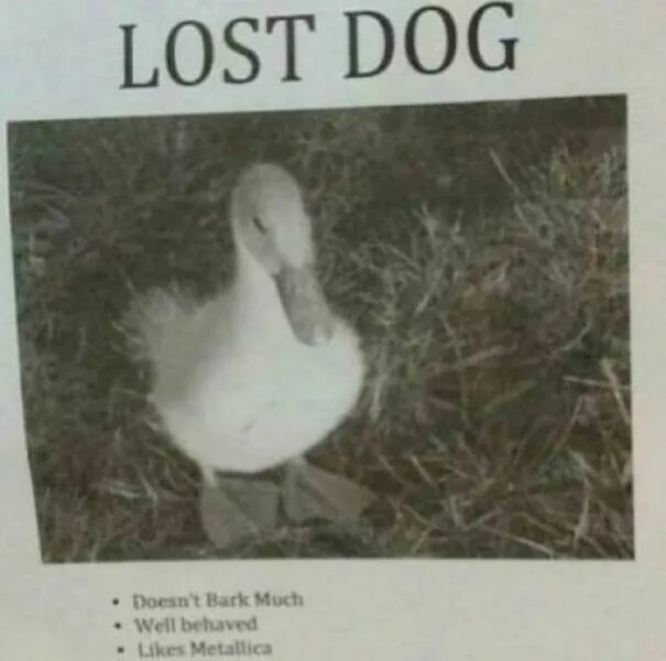 Epic laughter chronicles people unveiling the funniest finds - #7 