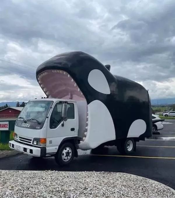 Whimsical rides exploring a world of crazy vehicles - #21 