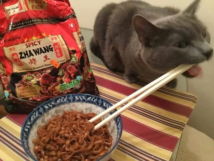 Picdump 785 - #29 