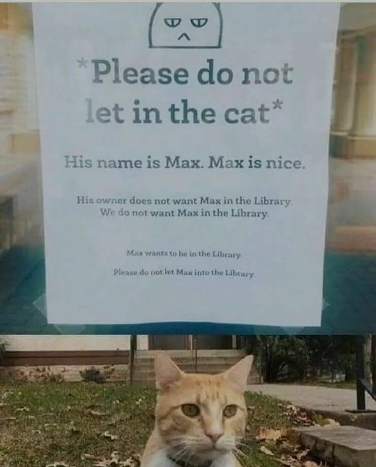 Picdump 785 - #31 