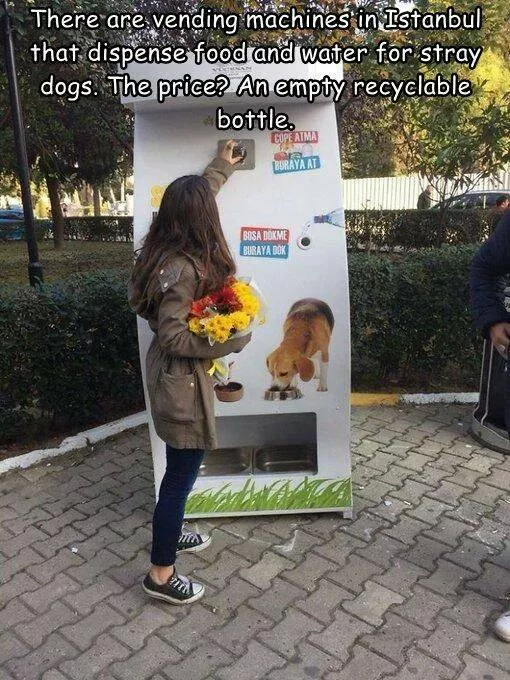 Picdump 786 - #25 