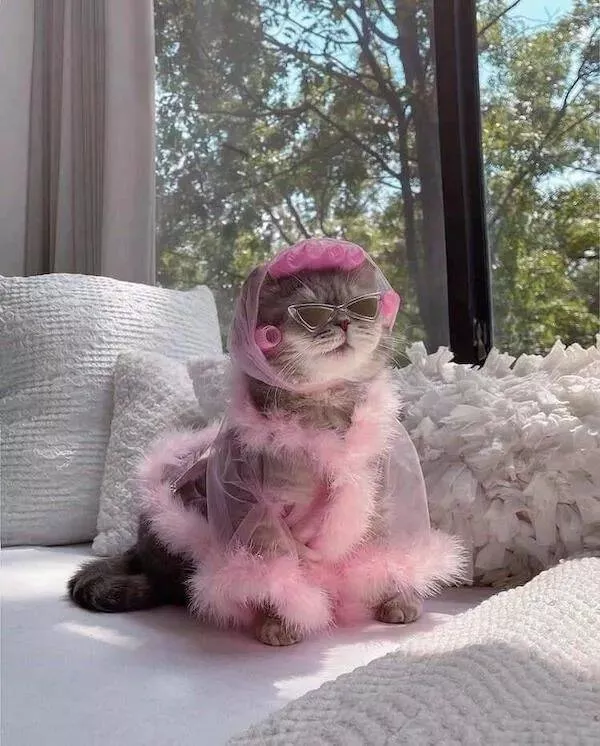Picdump 788 - #10 