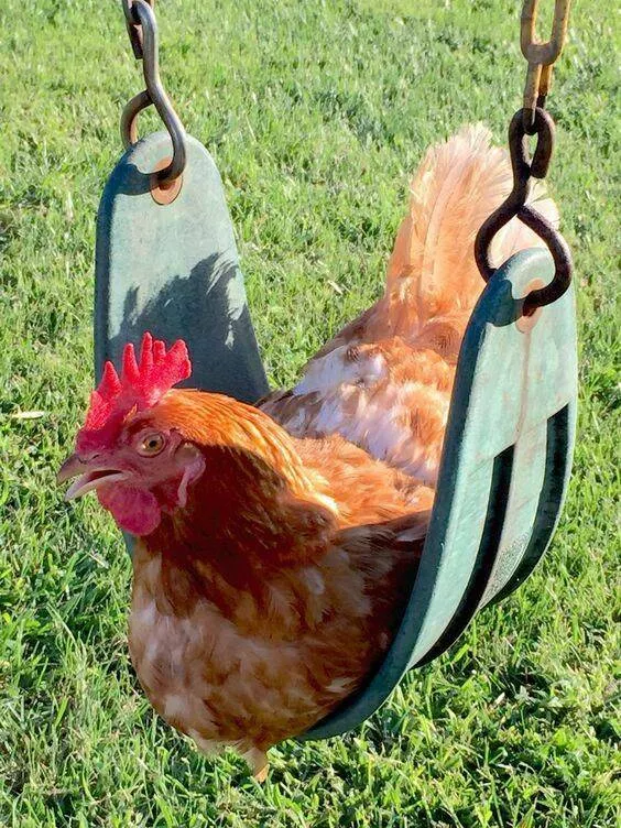 Picdump 788 - #48 