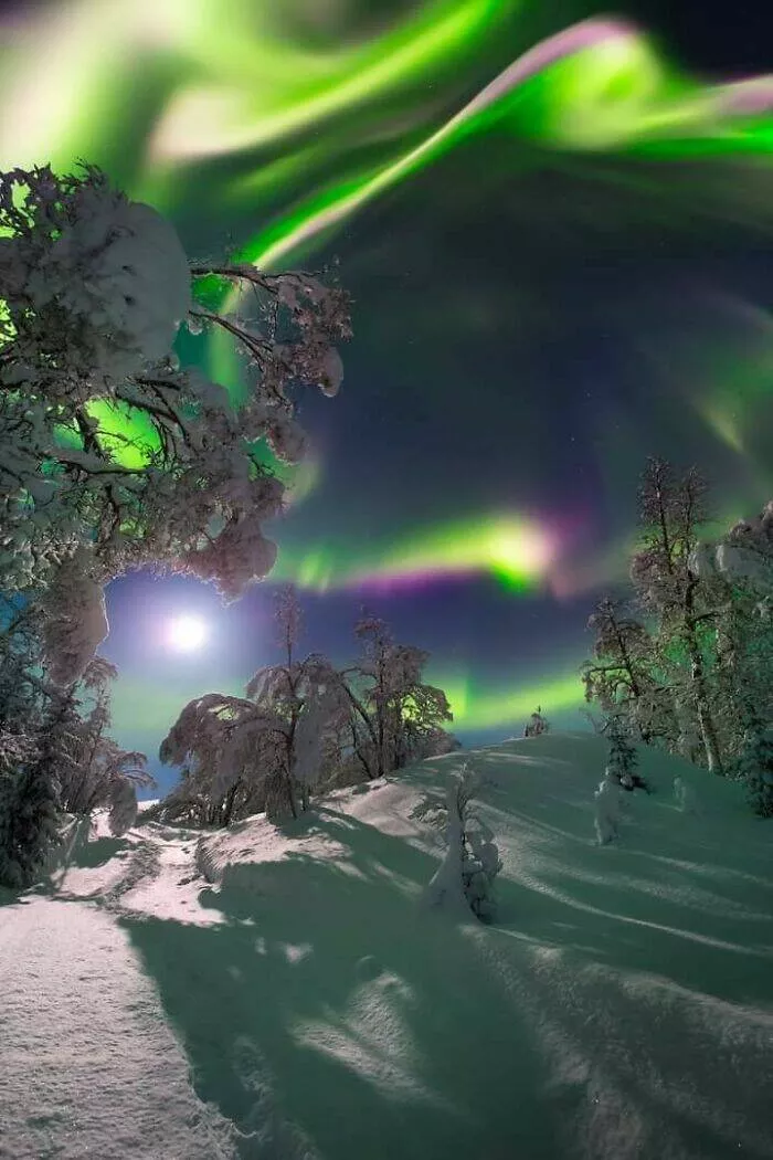 Decouvrir la splendeur norvegienne des photos captivantes mettant en valeur une beaute unique - #5 La Norvège est un autre monde