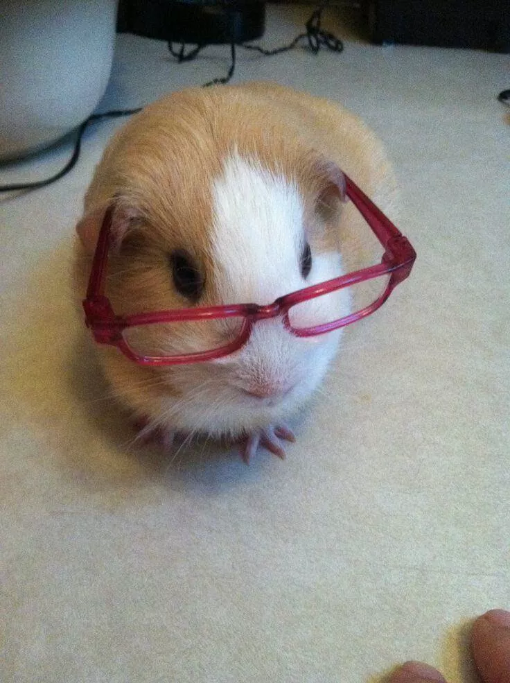 Picdump 789 - #31 