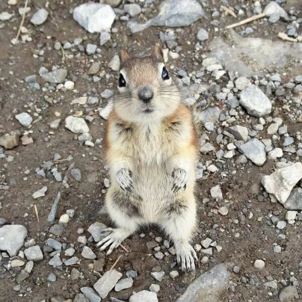 Picdump 790 - #35 