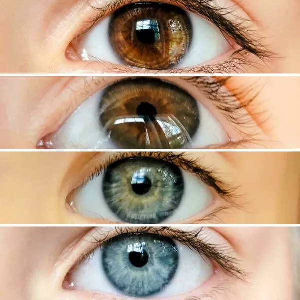 Perspectives deconcertantes photos de comparaison captivantes pour changer votre regard - #10 Mon mari a les yeux marrons, j'ai les yeux bleus. Ce sont les yeux de nos quatre enfants