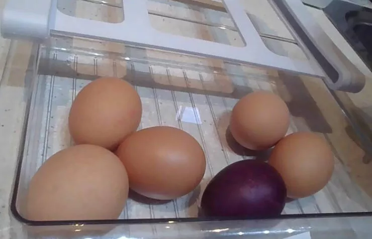 Mind bending perspectives compelling comparison photos to challenge your views - #37 One of the Eggs I Bought This Morning Is Randomly Purple