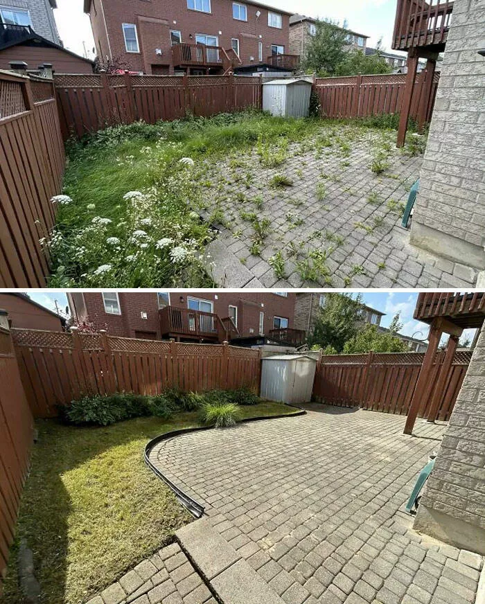 Mind bending perspectives compelling comparison photos to challenge your views - #6 Before and After: Cleaning Up a Backyard Today
