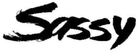 Flashbacks nostalgiques moments inoubliables des annees 90 pour la generation x et les millennials aines - #10 Et le magazine Sassy, l'un des magazines les plus cool de l'époque et qui avait un magazine frère (il était destiné aux gars) appelé Dirt