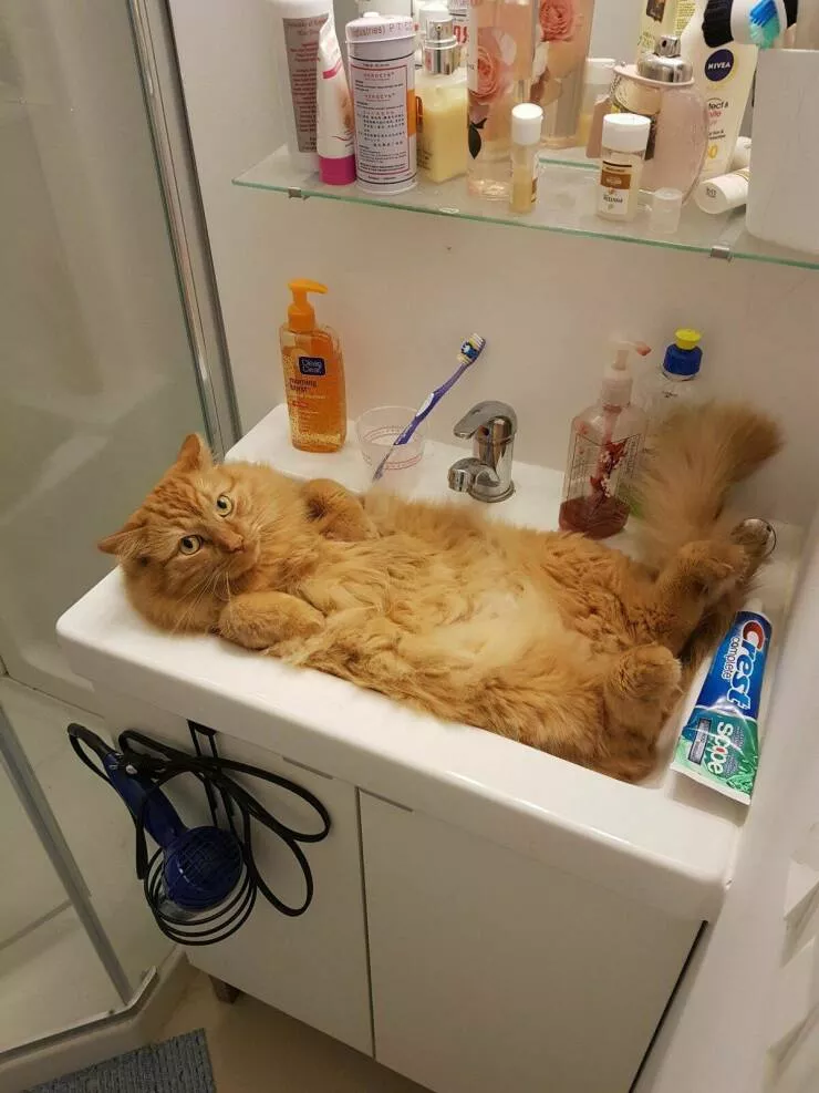 Picdump 792 - #48 