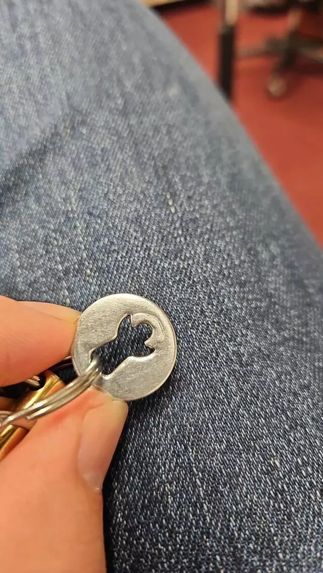 Subtle allure exploring the charm of mildly interesting moments - #13 This penny I've had on my keyring since childhood doesn't look like a penny anymore.