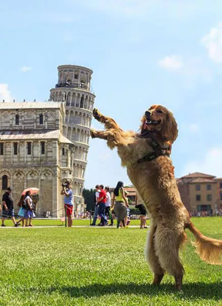 Picdump 13 - #59 