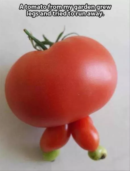 Picdump 13 - #67 