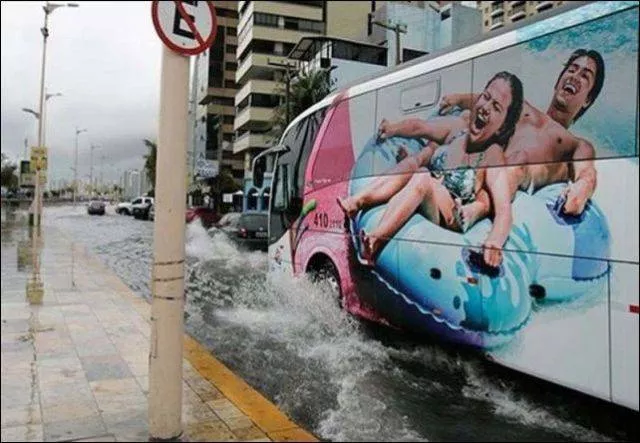 Picdump 13 - #73 
