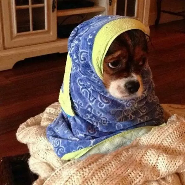 Picdump 794 - #11 