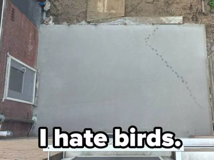 Comic calamities hilarious tales of navigating a rough day - #7 