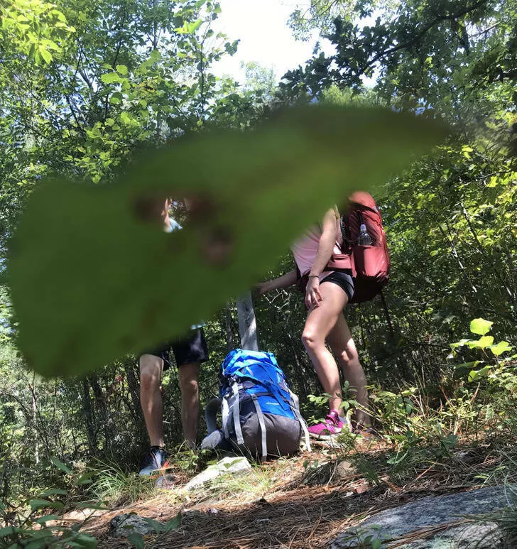 Incredible coincidences beyond belief and undeniably true - #8 A leaf fell in front of my phone the second it took a timed photo.