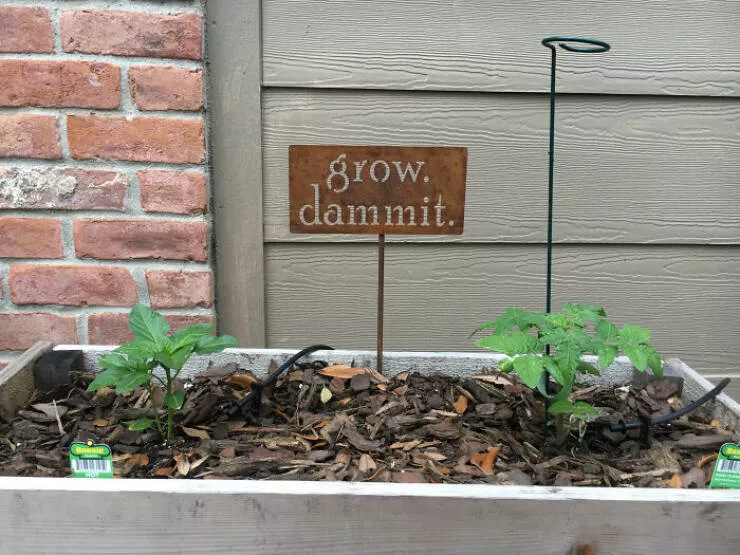 Valentines comedy love and laughter stealing the spotlight - #5 Gave My Husband A Sign For Valentine's Day That Fully Embodies His Experience Gardening