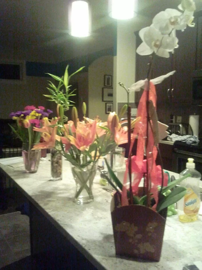 Valentines comedy love and laughter stealing the spotlight - #7 So My Wife Was Mad At Me Last Week And Said Not To Bother Getting Her Flowers For Valentine's Day. I Obeyed Her Wishes And Just Got Her Flowers Every Other Day This Week