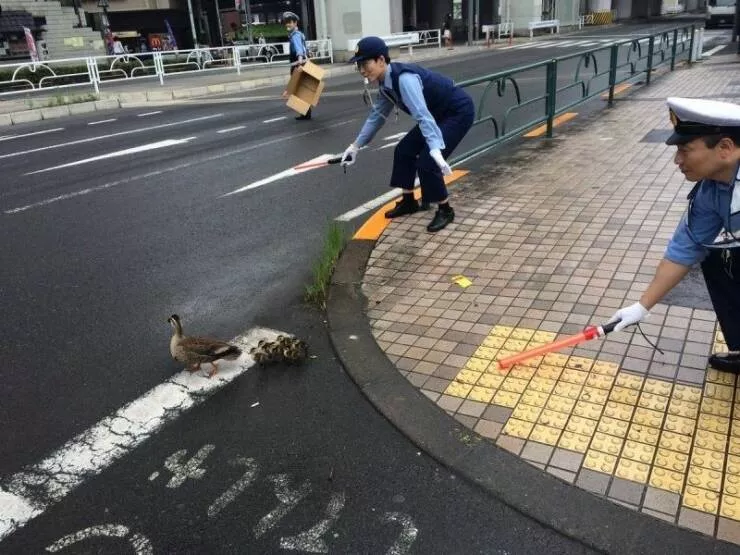 Picdump 796 - #20 