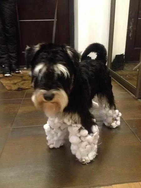 Picdump 796 - #54 