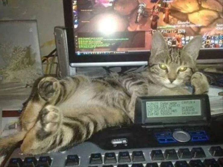 Picdump 797 - #36 