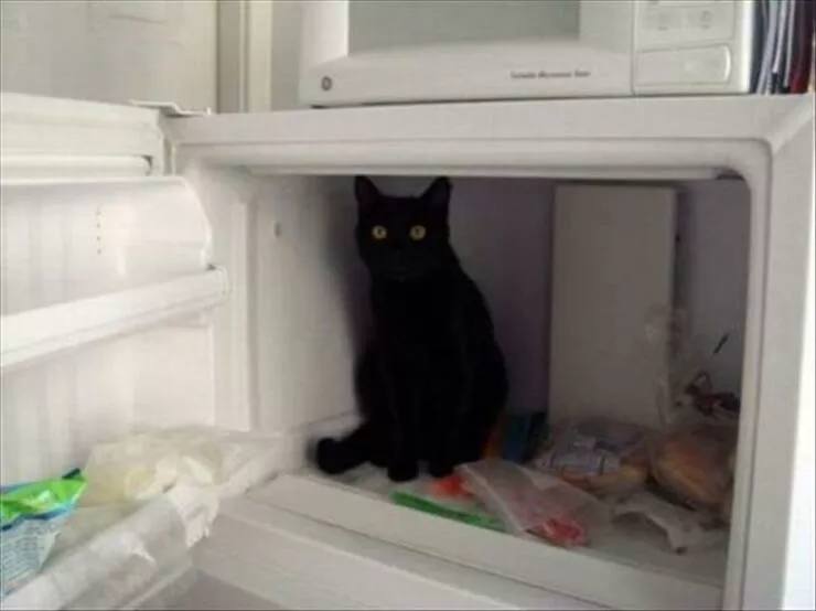 Picdump 797 - #38 