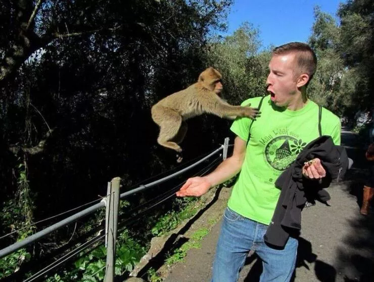 Picdump 798 - #33 