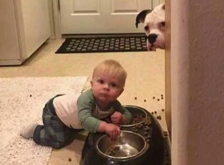 Picdump 800 - #20 