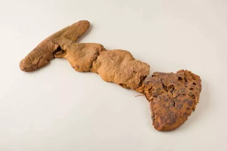 Fascination devoilee captures captivantes dans une galerie de photos vraiment envoutantes - #11 Il s'agit d'un pain de 3 500 ans préservé, trouvé dans une tombe égyptienne ancienne de la période du Nouvel Empire :