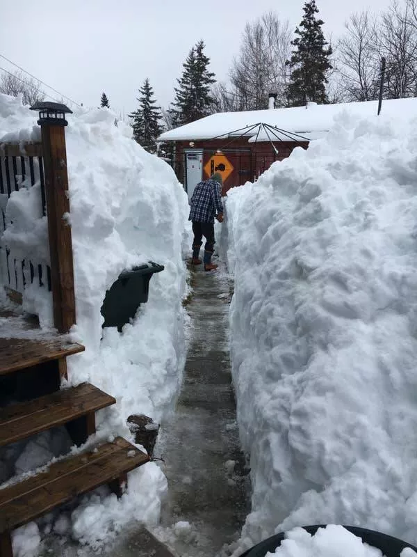 Fascination unleashed captivating captures in a gallery of truly mesmerizing photos - #12 This is what 8 feet of snow looks like: