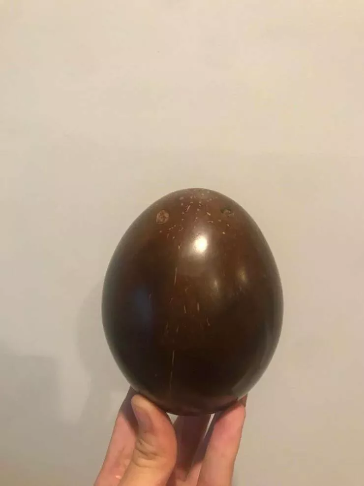 Fascination unleashed captivating captures in a gallery of truly mesmerizing photos - #26 Should you ever feel the inclination to polish a coconut, the result will be something like this: