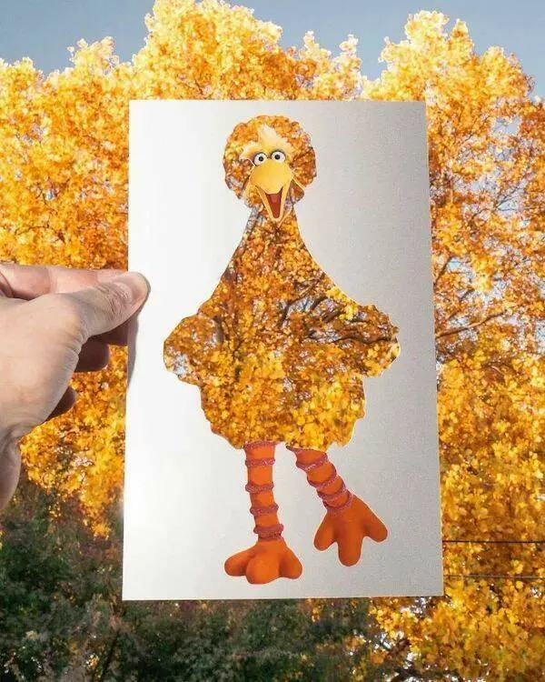 Picdump 801 - #12 