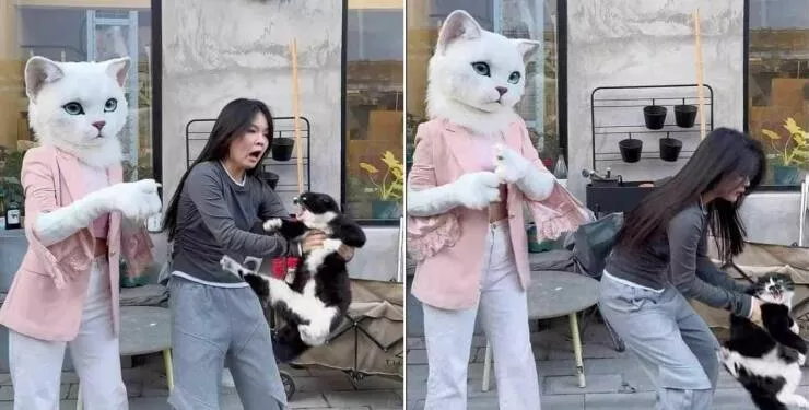 Picdump 801
