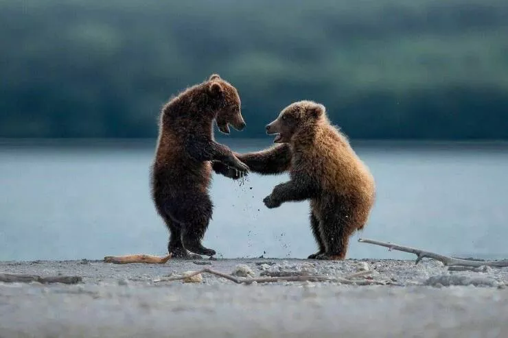 Picdump 801 - #5 