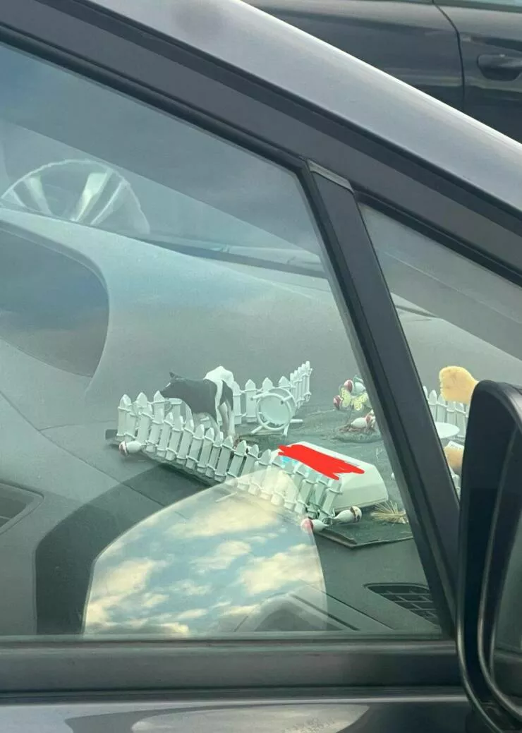 Picdump 801 - #51 