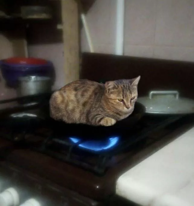 Picdump 801 - #58 