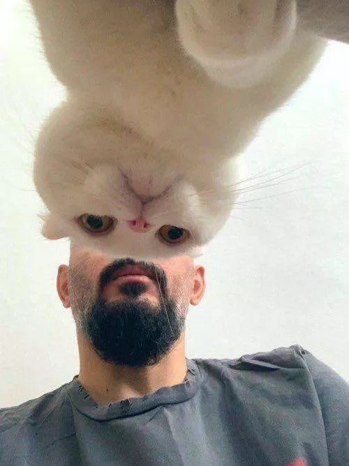 Picdump 802 - #29 Picdump 802 - #29