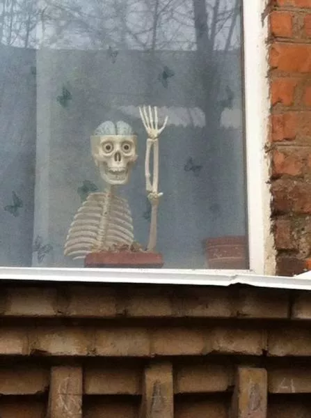 Picdump 107 - #13 