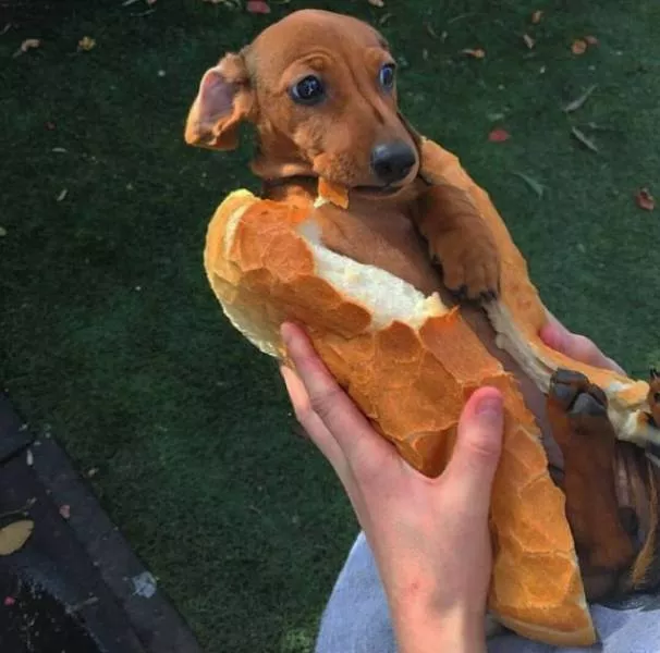 Picdump 107 - #4 